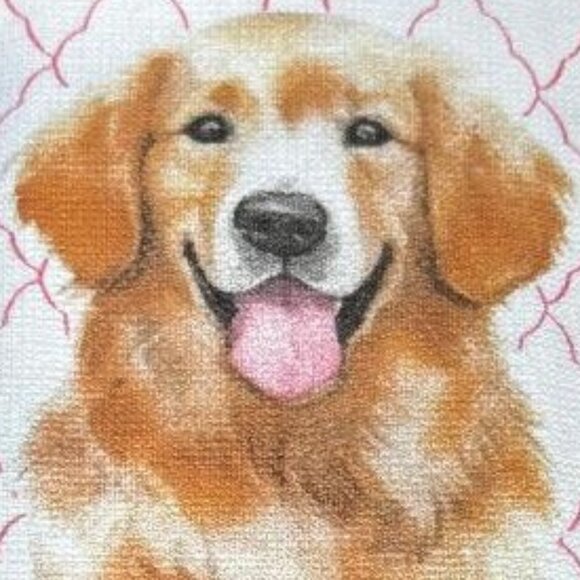 NWT & HARD TO FIND 3 PACK ADORABLE GOLDEN RETRIEVER PLUS PINK ABSORBENT TOWELS - Picture 3 of 16